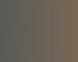 To radioudsendelser om den aktuelle debat