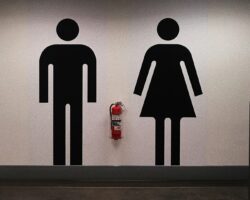 Ulmer et nyt kvindebillede under overfladen?